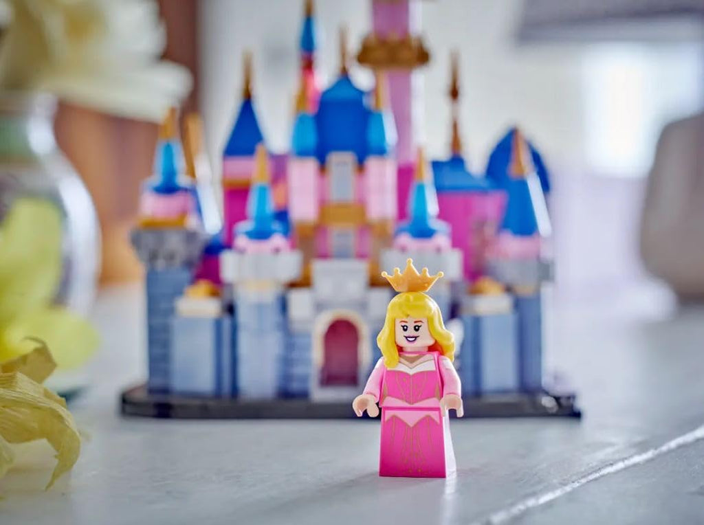 Sleeping Beauty Castle Z2607