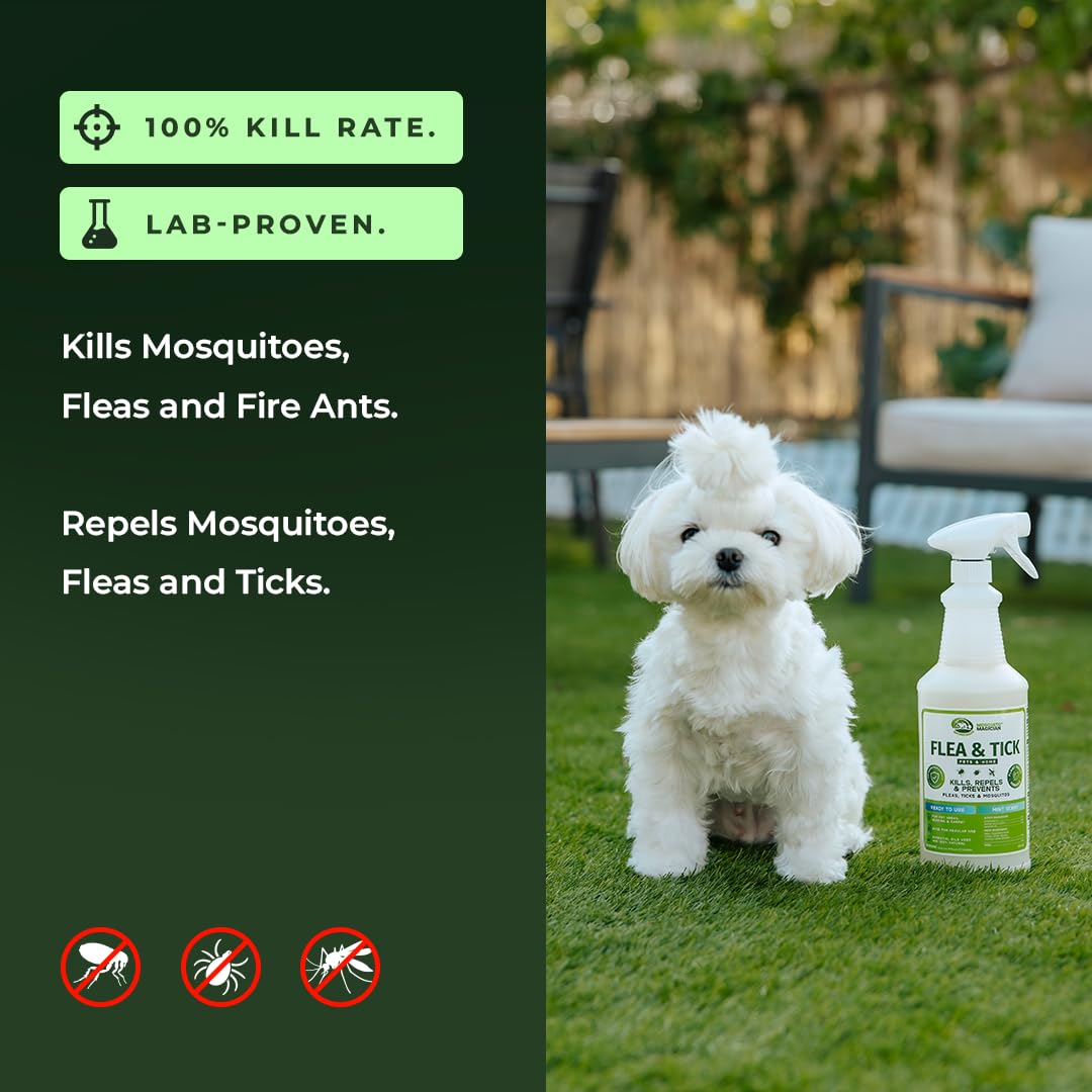 Lemongrass Flea Tick Mosquito Spray 16 OZ J153