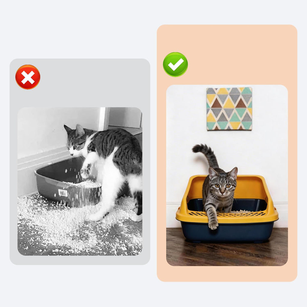 Blue Open Top Cat Litter Box with Scoop and Play Mat J8067