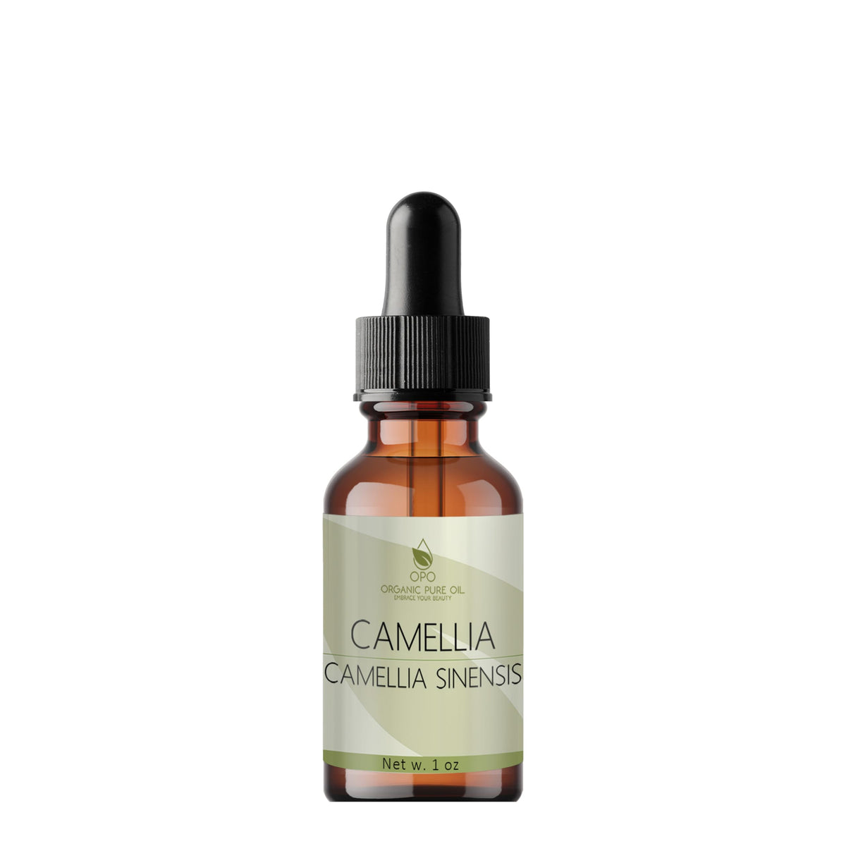 Japanese Camellia Seed Oil 1 oz Cold Pressed Unrefined X813702