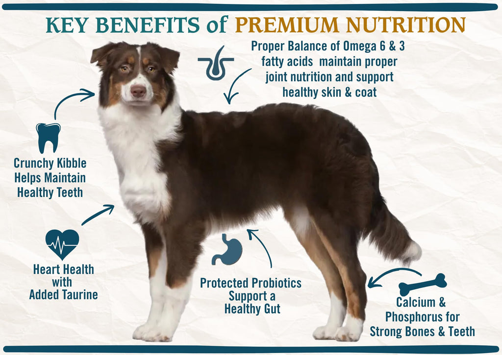 Chicken Brown Rice & Turkey Dry Dog Food 13.5lb P782832