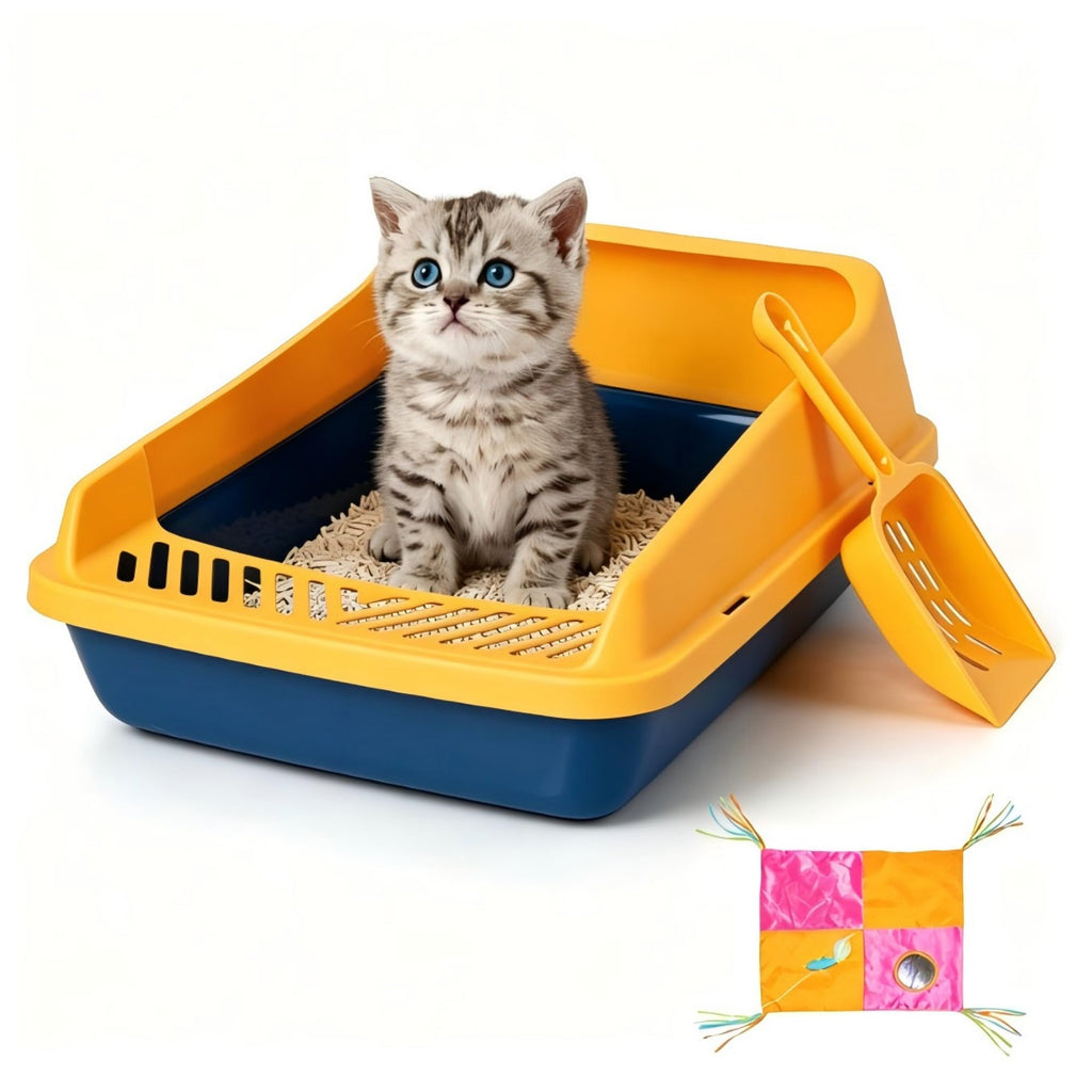 Blue Open Top Cat Litter Box with Scoop and Play Mat J8067