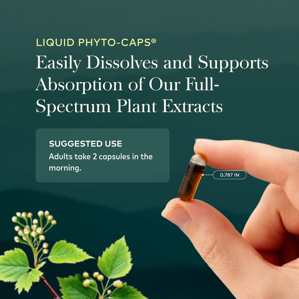 60 Vegan Capsules W731606