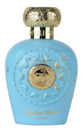 Citrus Fruity Floral Woody Eau de Parfum 3.4 Ounce B26085