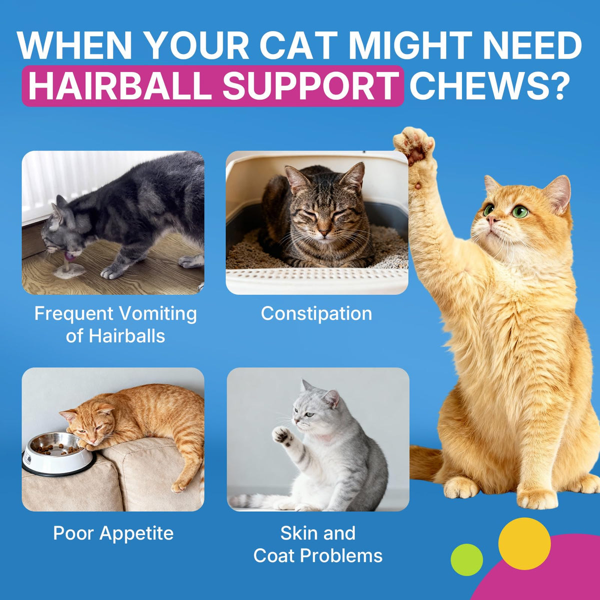 Cat Hairball Support Chews 500 Chews A4660