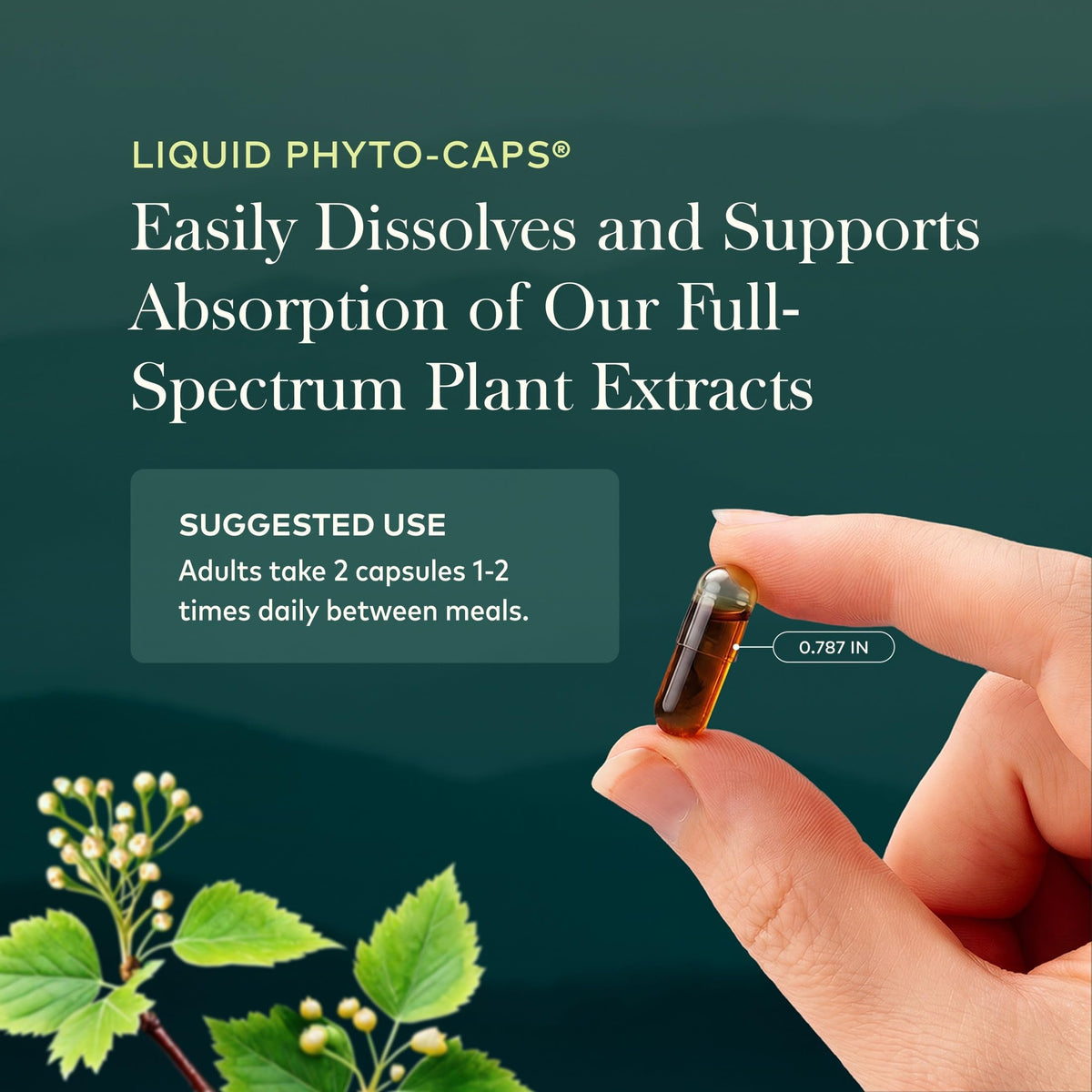 40 Vegan Capsules Nootropic Focus G1228