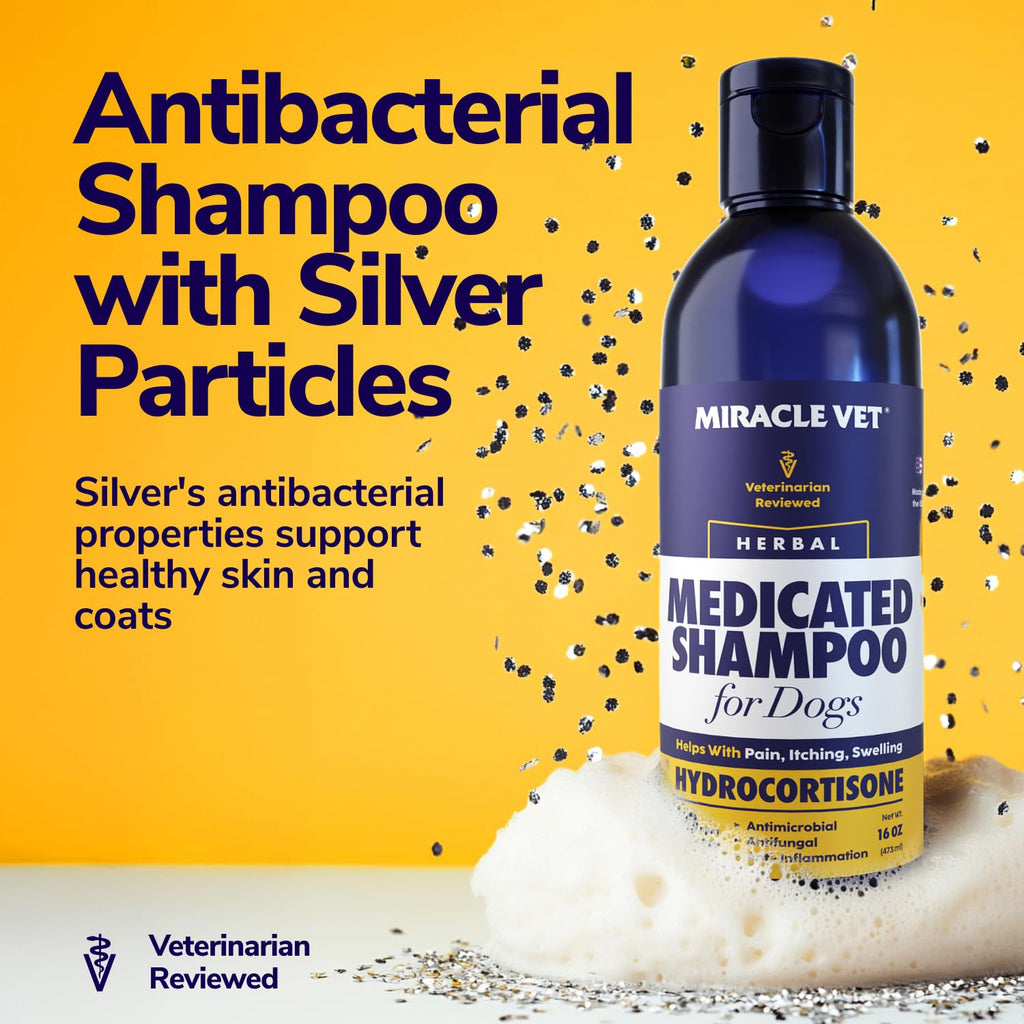 Medicated Dog Shampoo 8 fl oz X7651