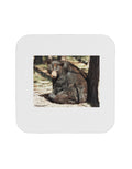 Black Bear 4 Piece Set of Coasters M742031