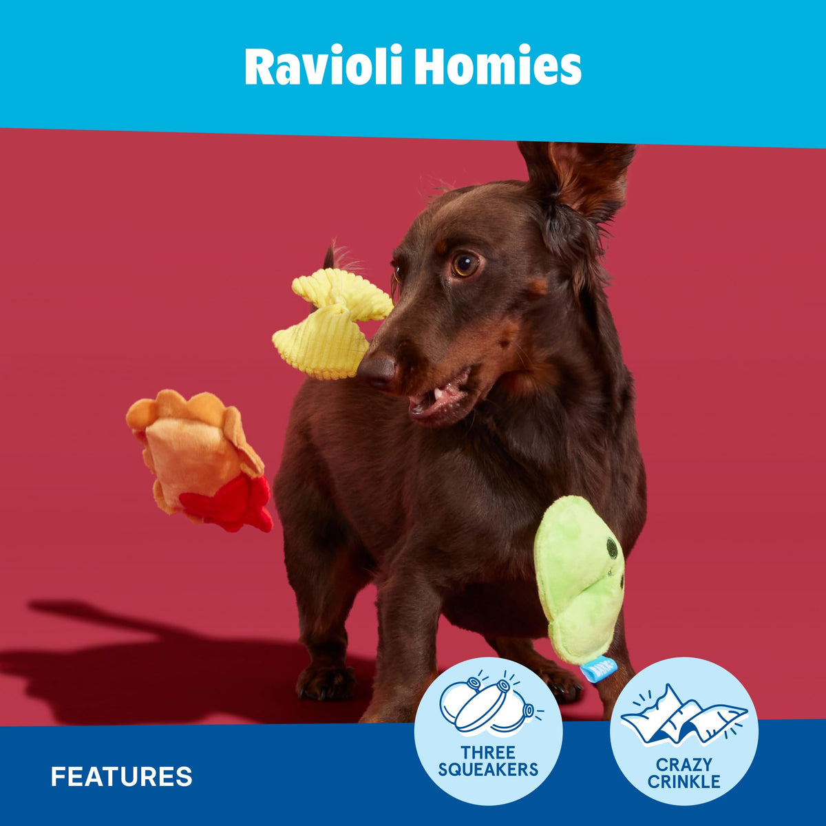 Dog Toy K39788