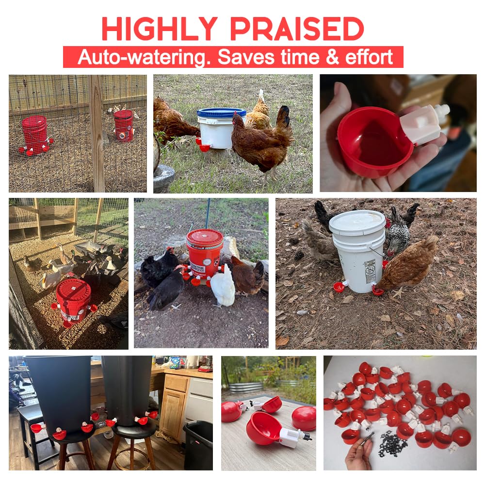 32 Pack Automatic Poultry Waterer Cups with Mounting Hole Opener Z75131