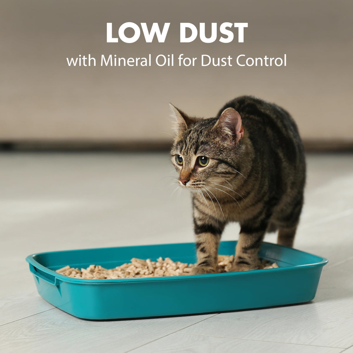 Clumping Cat Litter, 18 lbs A941405