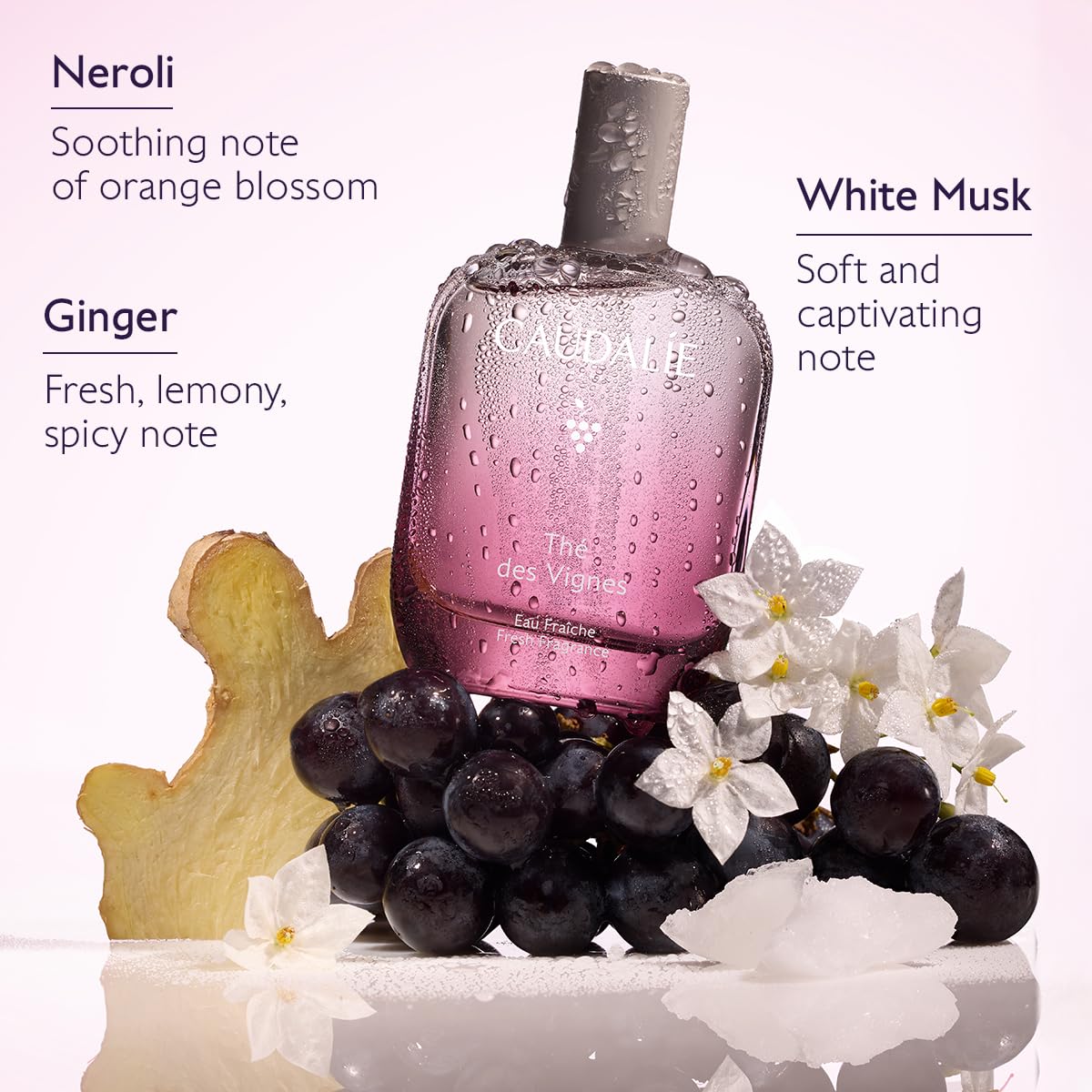 Fresh Fragrance 50 mL D165891