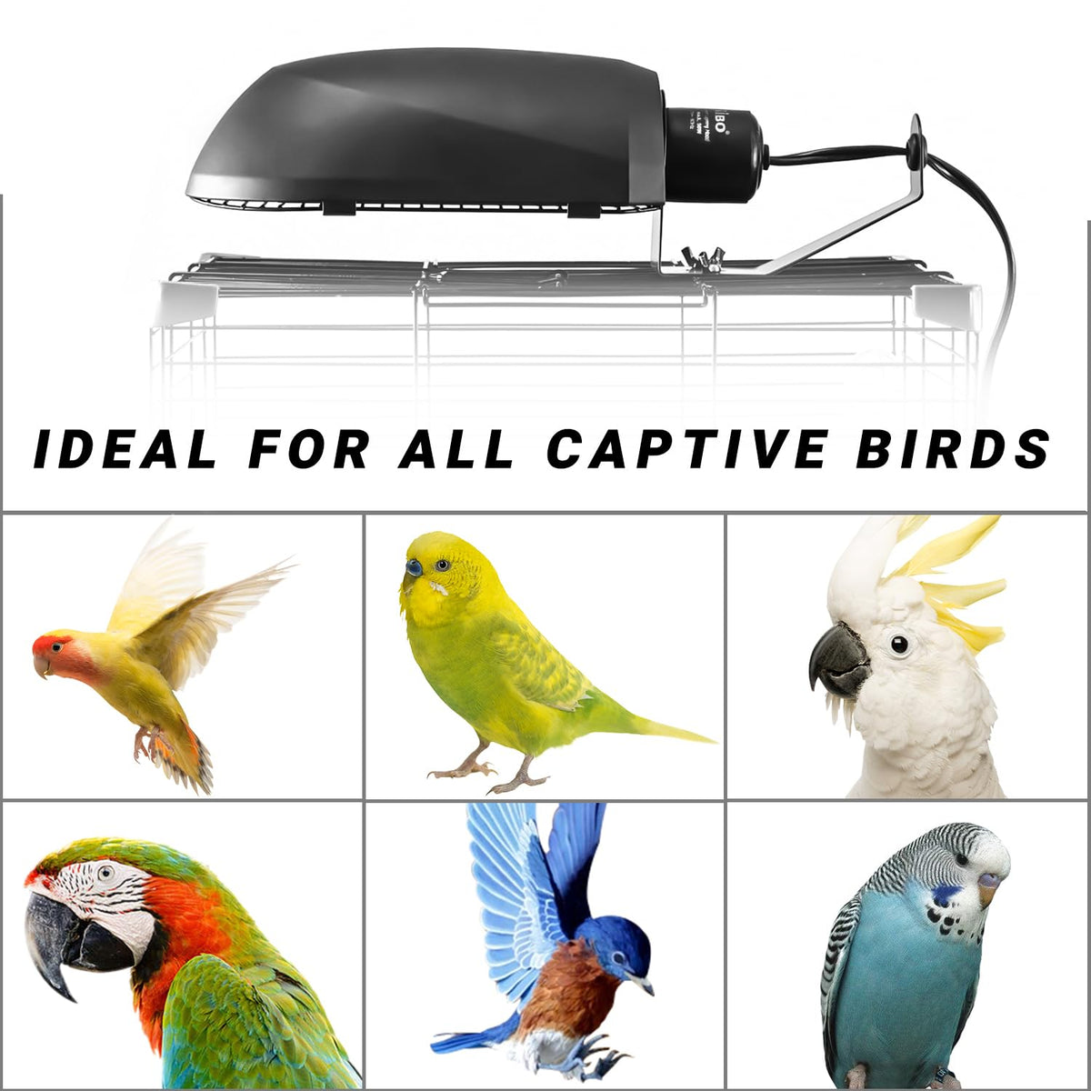 Bird Cage Light Fixture Combo Kit, 2.4% UVB UVA 20W Compact Fluorescent Bulb R86326