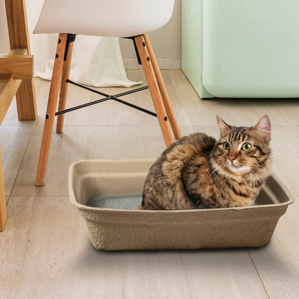 Disposable Litter Boxes Brown Large 6-Pack D758556