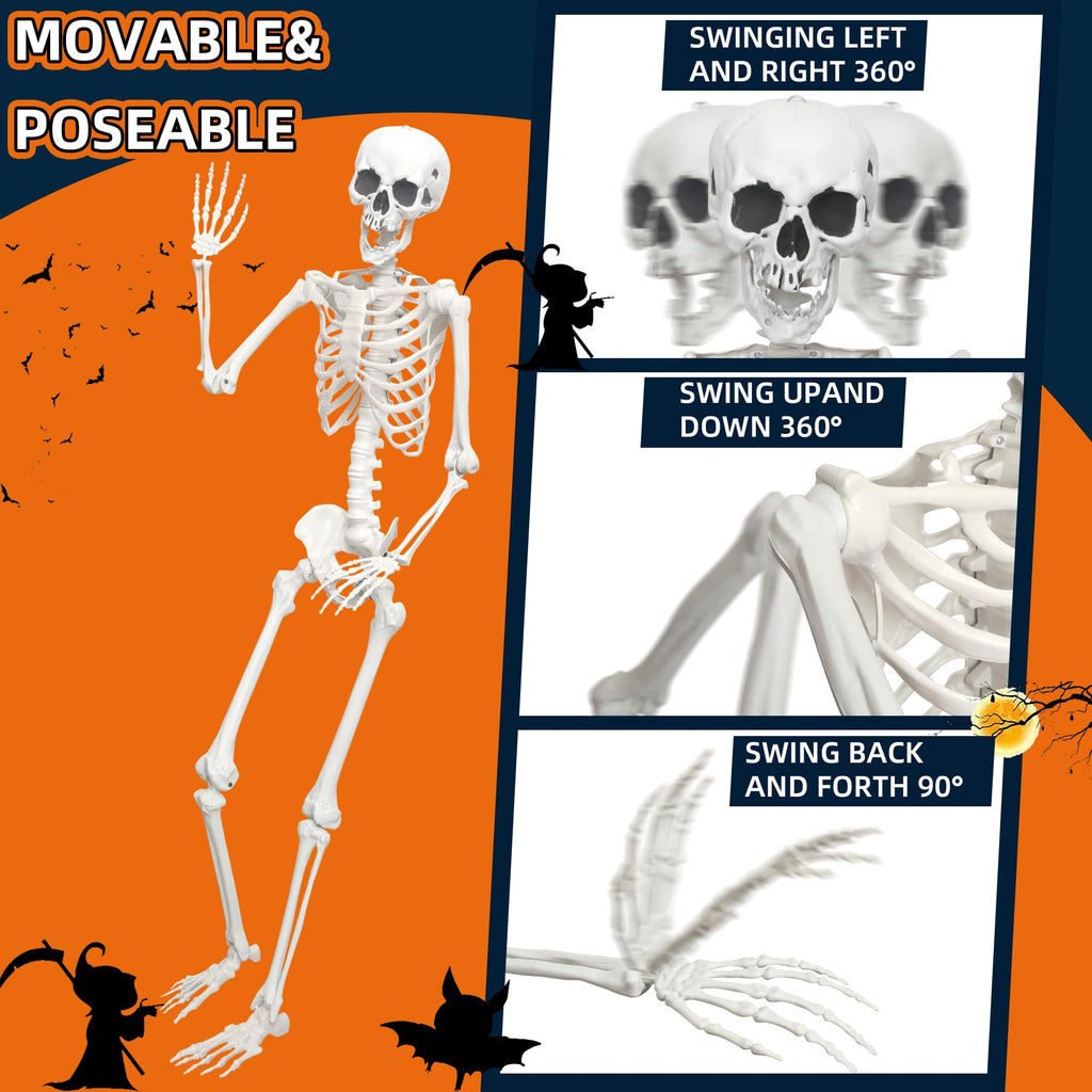 Life Size Posable Skeleton J259