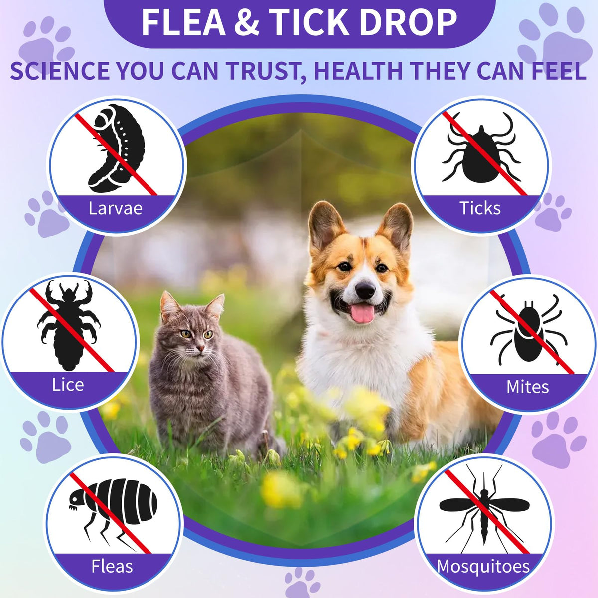 Flea and Tick Prevention Support with Multivitamin 60ml H590