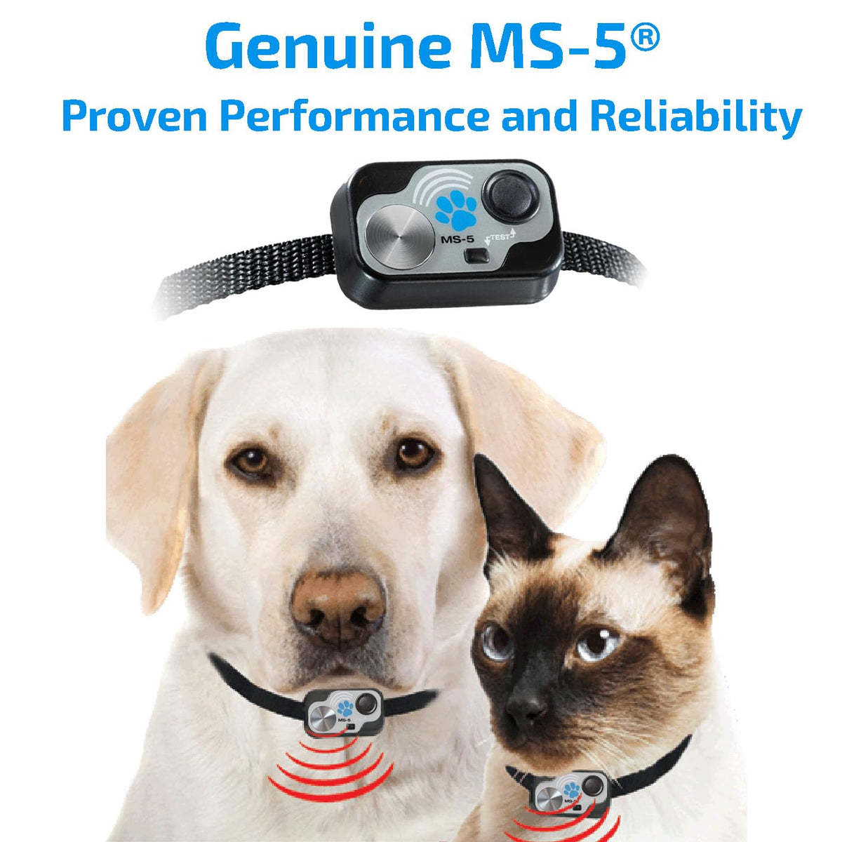 Automatic Smart Pet Door Collar Q626