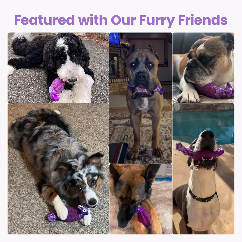 Tough Dog Toys for Aggressive Chewers J91817