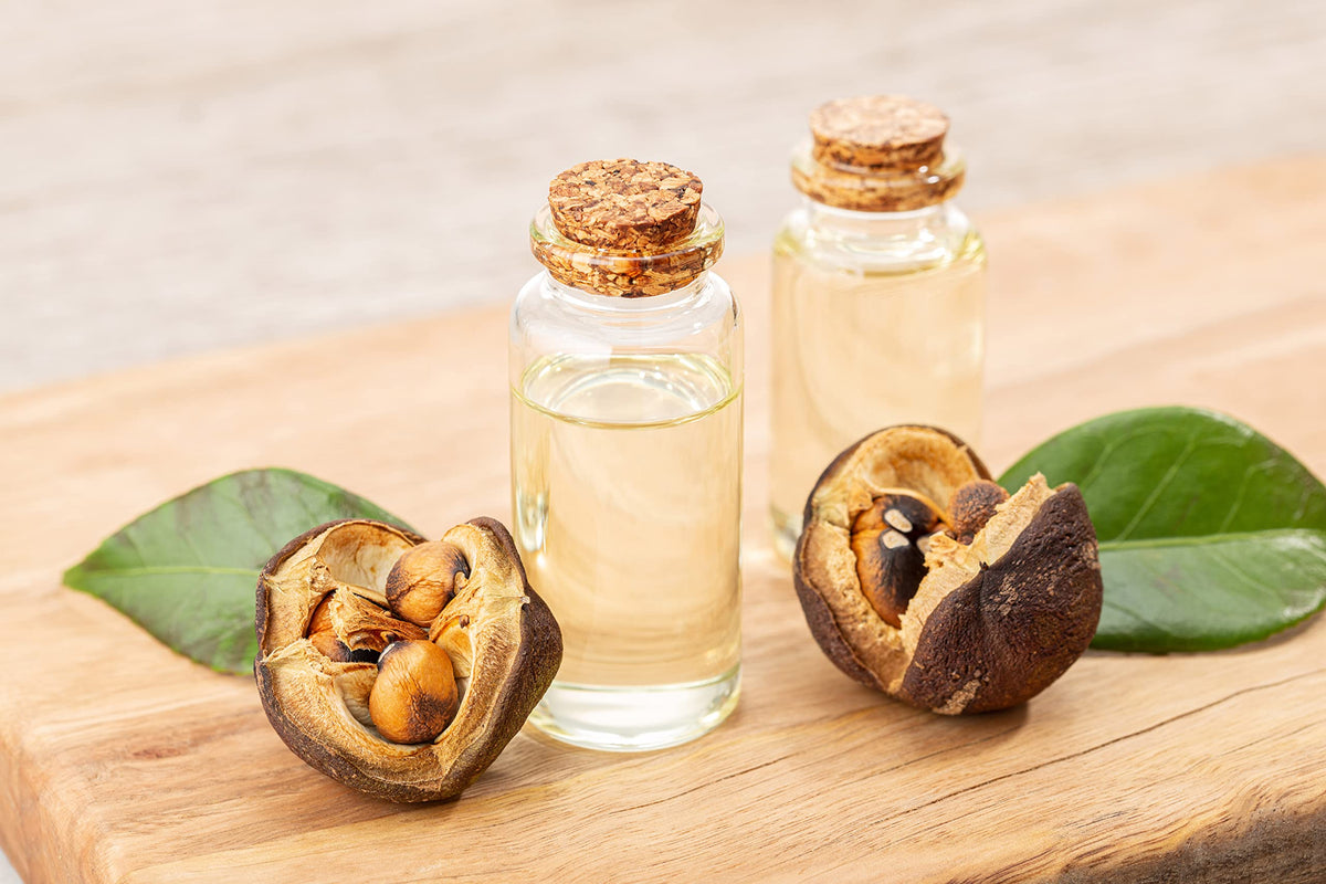 Japanese Camellia Seed Oil 1 oz Cold Pressed Unrefined X813702