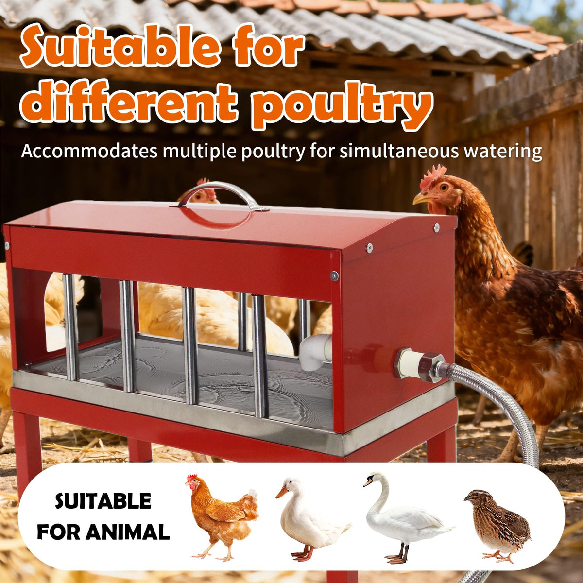 Automatic Stainless Steel Poultry Waterer with Float Valve J4944