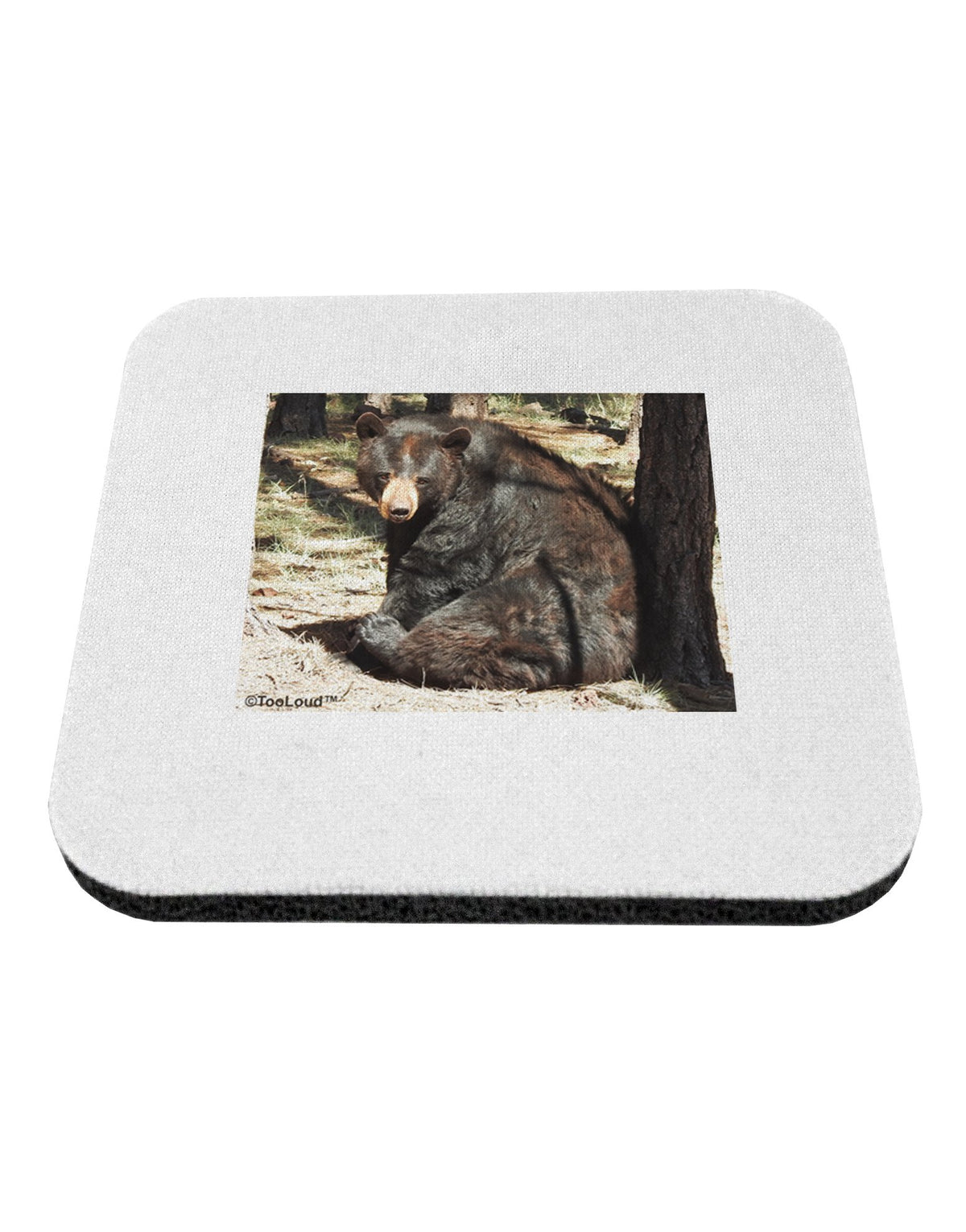 Black Bear 4 Piece Set of Coasters M742031