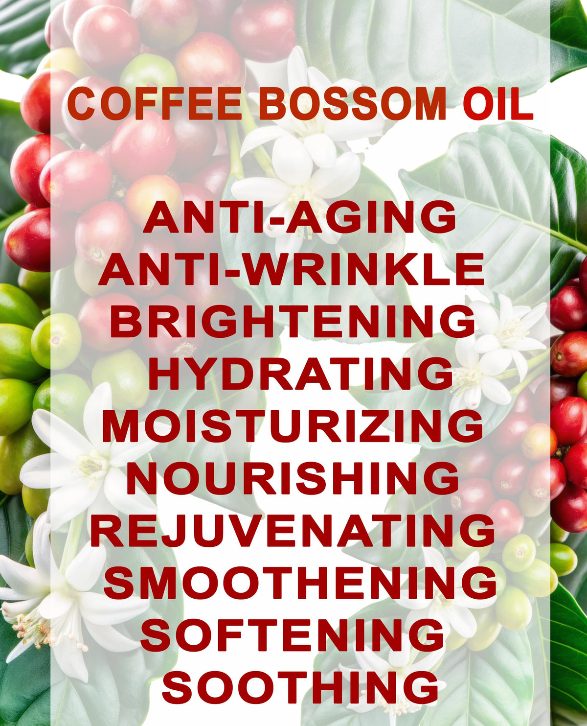 100% Natural Coffee Blossom Oil 1 Fl.oz. M939