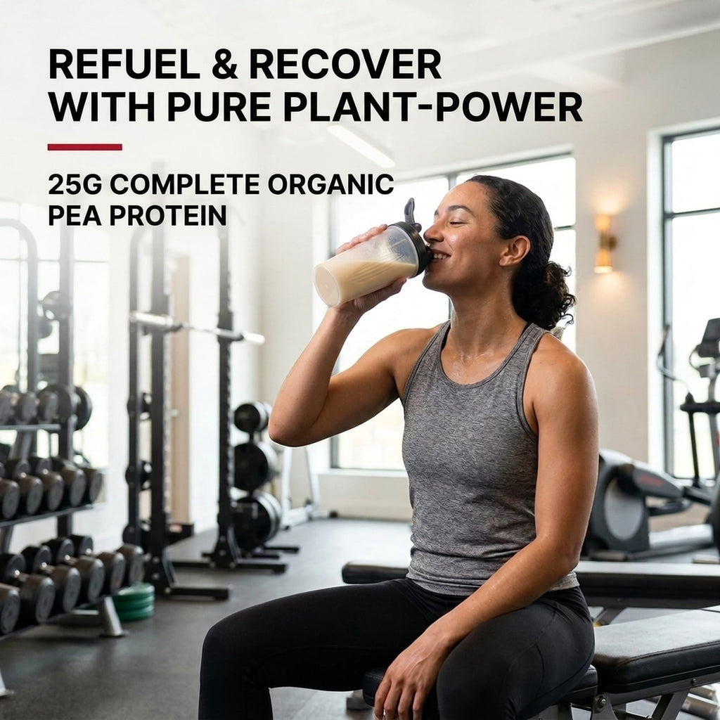 Unflavored Pea Protein Powder B485
