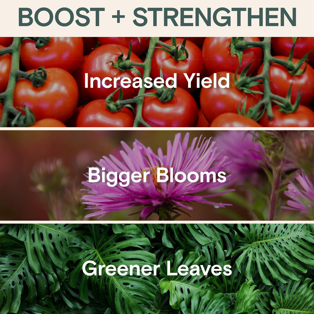 Organic Liquid Fertilizer Concentrate U59540
