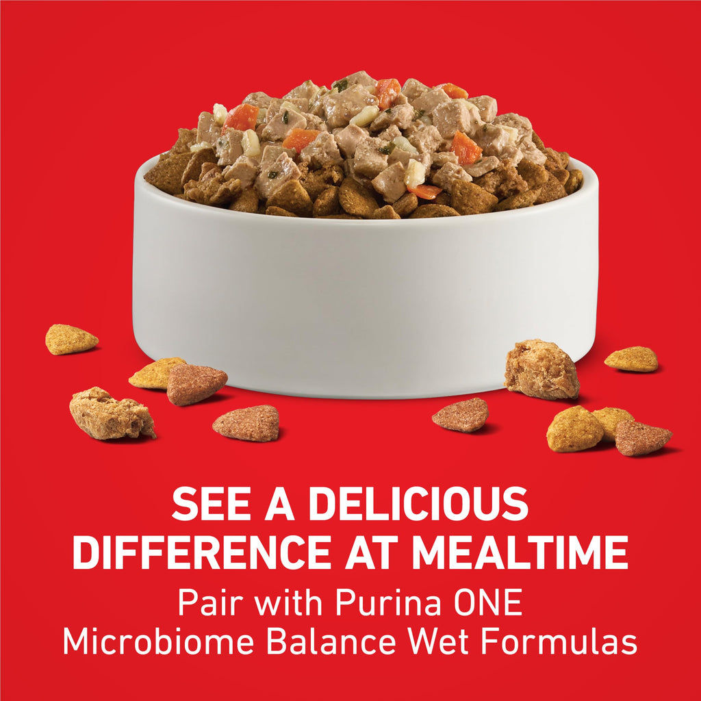 Chicken & Rice Formula Dry Dog Food 8 lb Bag Q94914