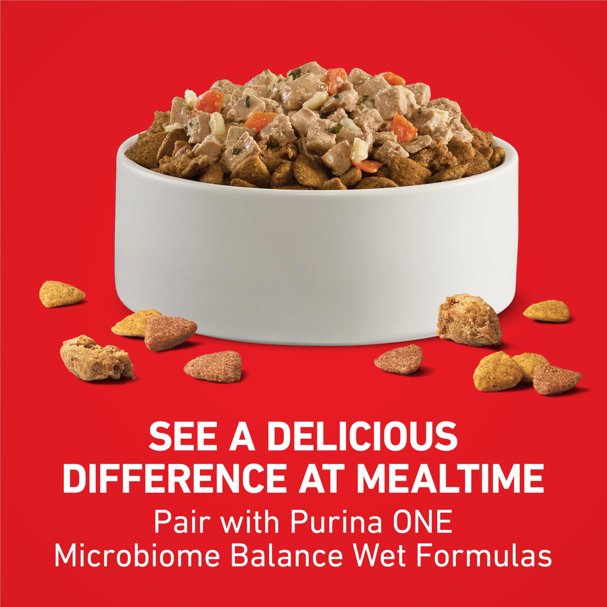 Chicken & Rice Formula Dry Dog Food 8 lb Bag Q94914