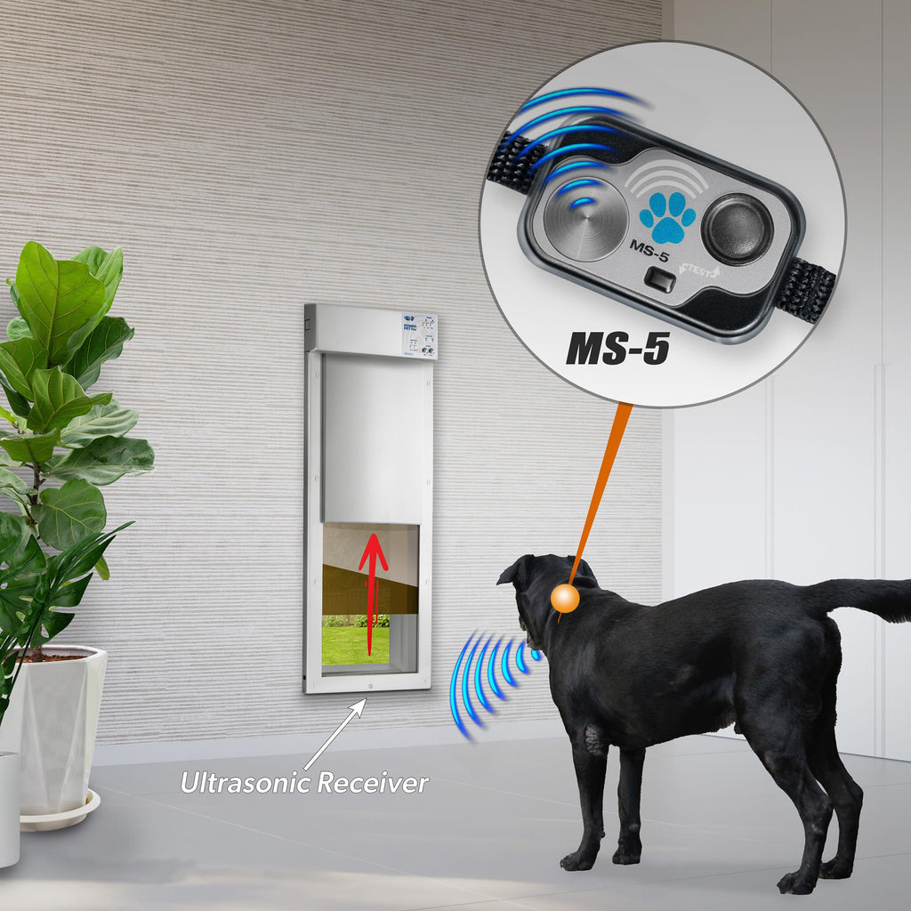 Automatic Smart Pet Door Collar Q626