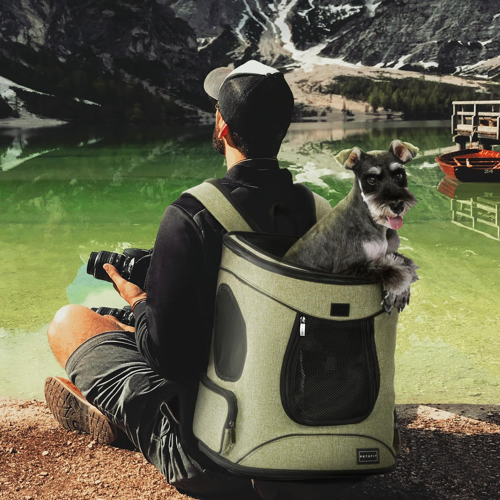 Dog and Cat Backpack Carrier, Up to 18 lb V5578