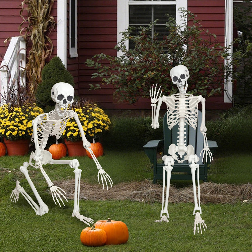 Life Size Posable Skeleton J259