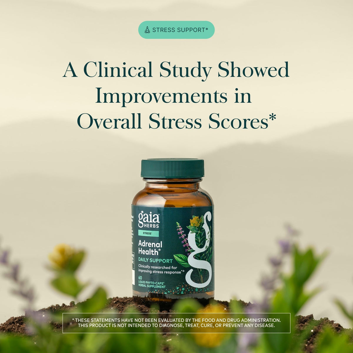60 Vegan Capsules W731606