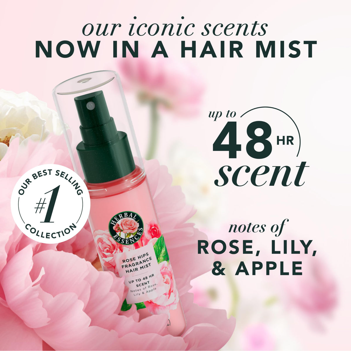 Rose Scent Hair Mist Fragrance Spray 3.2 fl oz W793714