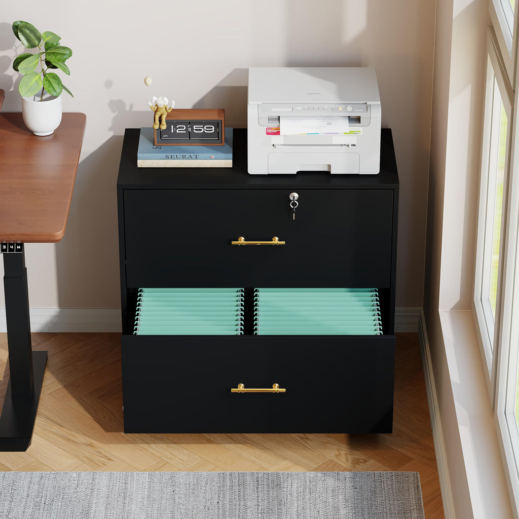 Black 2 Drawer Lateral File Cabinet with Lock U407581