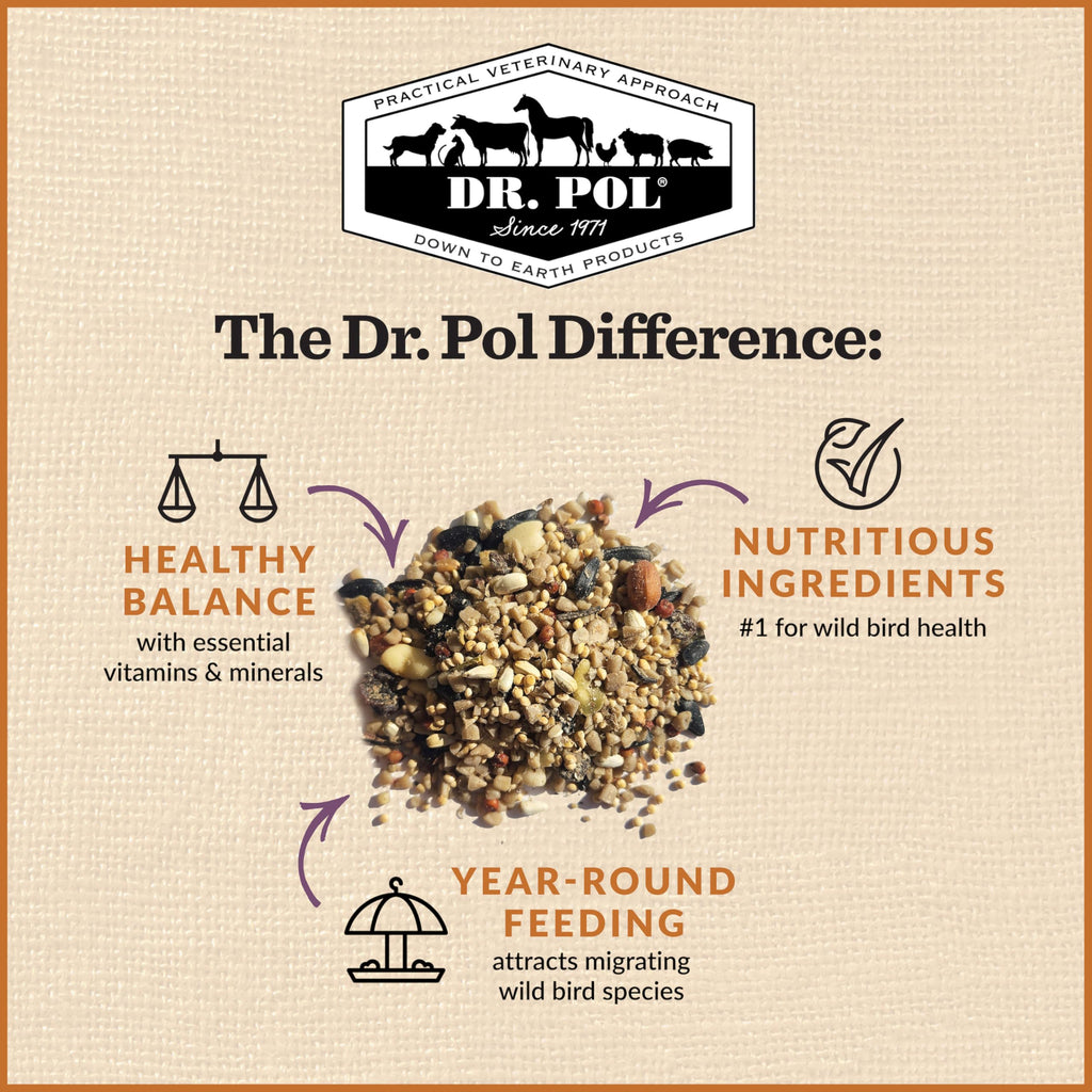 20 LB Wild Bird Seed P288999