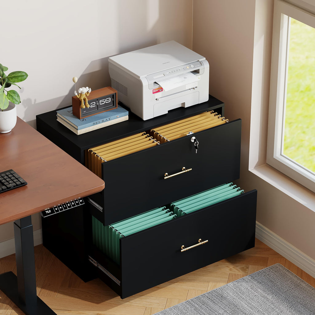 Black 2 Drawer Lateral File Cabinet with Lock U407581